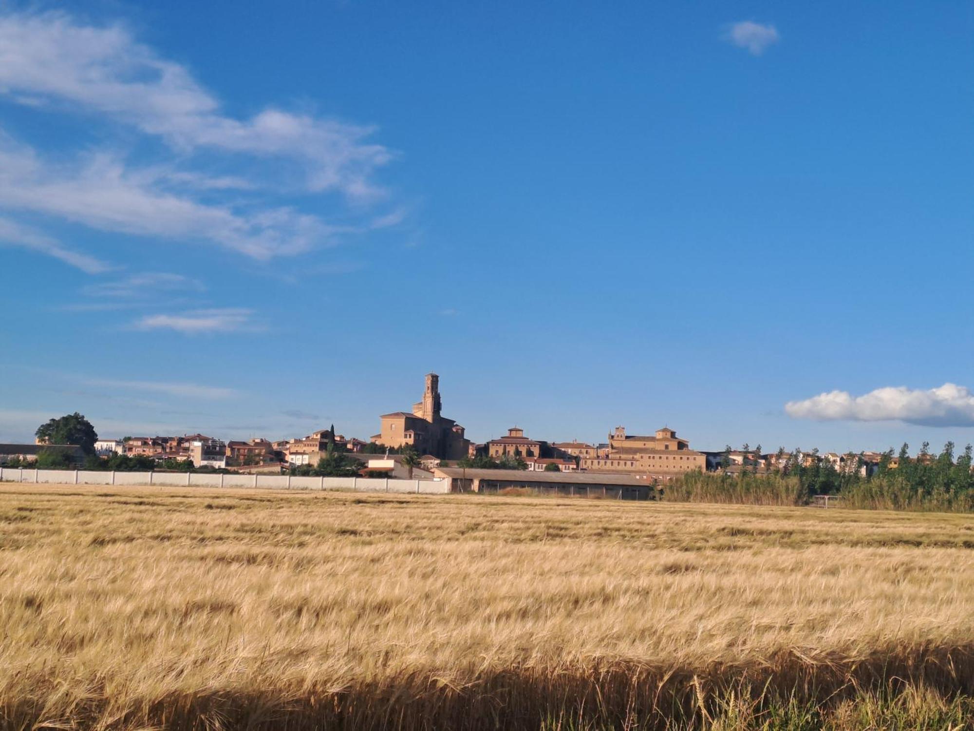 Apartamento Rural Las Canas Esencia De Bardenas Villafranca Luaran gambar