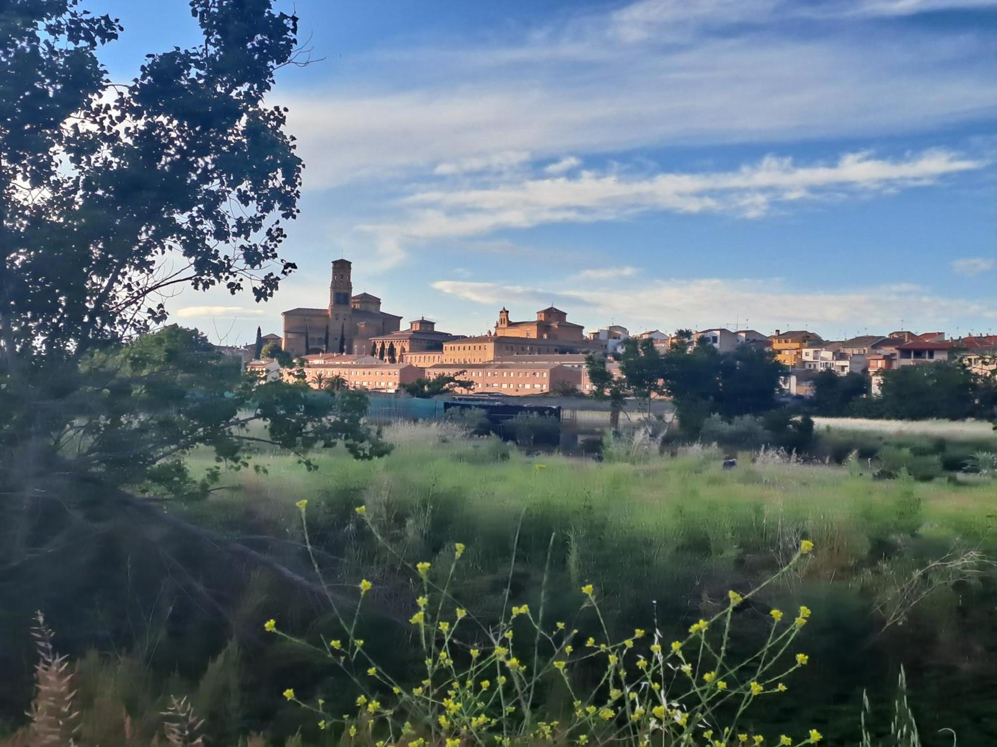 Apartamento Rural Las Canas Esencia De Bardenas Villafranca Luaran gambar